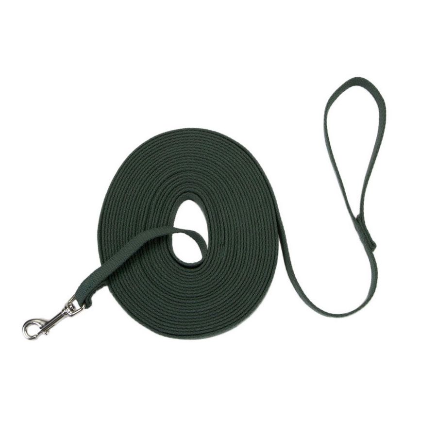 Correa cotton web dog training, green